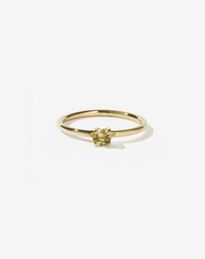 Micro Round Ring | 23k Gold Plated