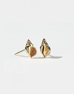Conch Stud Earrings | 23k Gold Plated