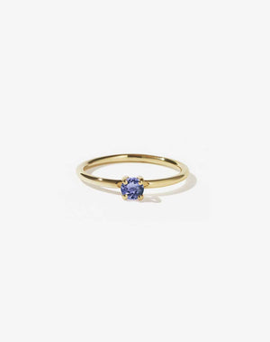 Micro Round Ring | 9ct Solid Gold